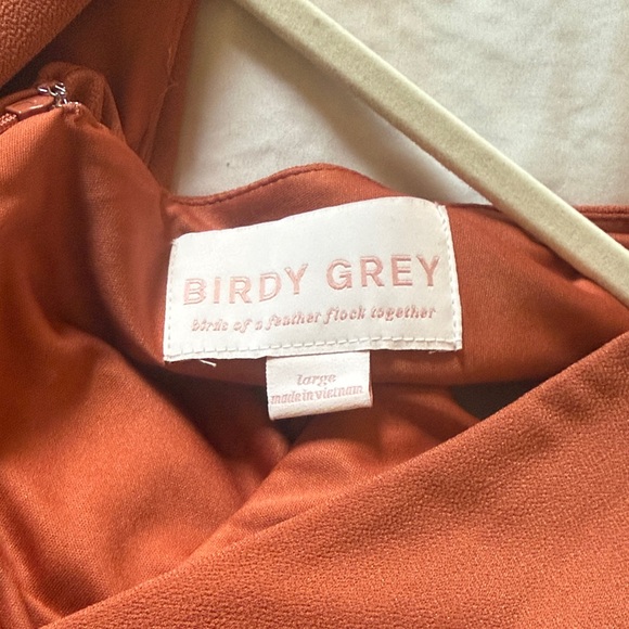 Birdy Grey Sleeveless Terracotta Dress - Picture 3 of 3